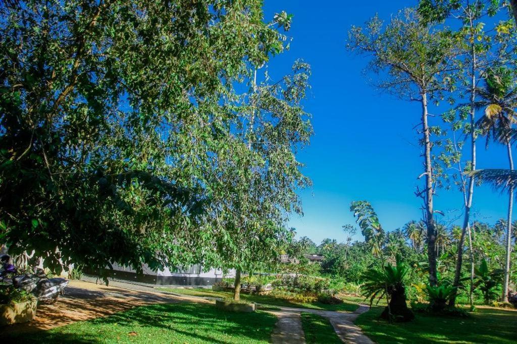 The Glade Aparthotel เวลิกามา ภายนอก รูปภาพ