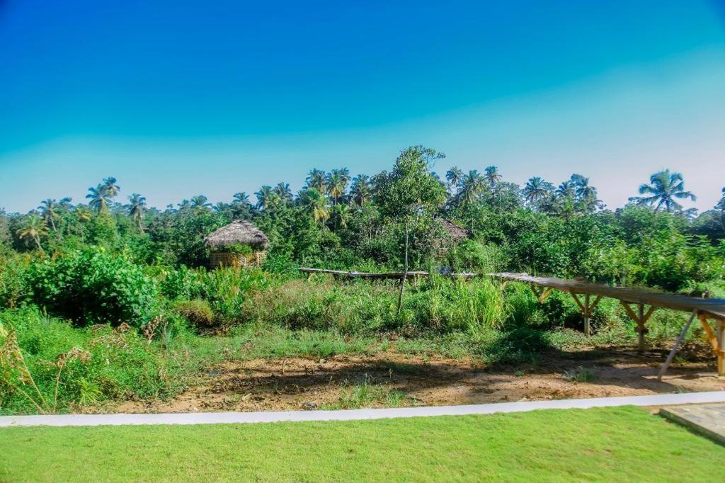 The Glade Aparthotel เวลิกามา ภายนอก รูปภาพ